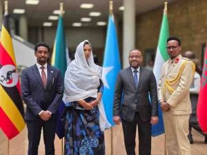 Somalia assumes seat on African Union Peace and Security Council for first time